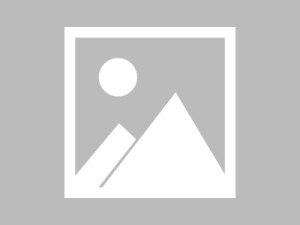 糖心vlog深度揭秘：热点事件风波背后，网红在酒吧后巷的角色疯狂令人意外