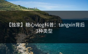 【独家】糖心vlog科普：tangxin背后3种类型