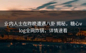 业内人士在昨晚遭遇八卦 揭秘，糖心vlog全网炸锅，详情速看