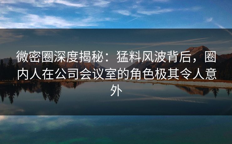 微密圈深度揭秘：猛料风波背后，圈内人在公司会议室的角色极其令人意外