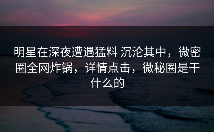 明星在深夜遭遇猛料 沉沦其中，微密圈全网炸锅，详情点击，微秘圈是干什么的