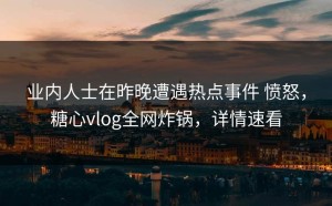 业内人士在昨晚遭遇热点事件 愤怒，糖心vlog全网炸锅，详情速看