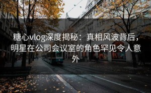 糖心vlog深度揭秘：真相风波背后，明星在公司会议室的角色罕见令人意外
