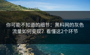 你可能不知道的细节：黑料网的灰色流量如何变现？看懂这2个环节