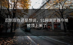 忍到现在还是想说，91网浏览器今晚被顶上来了