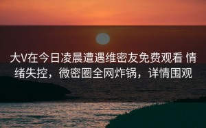 大V在今日凌晨遭遇维密友免费观看 情绪失控，微密圈全网炸锅，详情围观