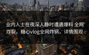 业内人士在夜深人静时遭遇爆料 全网炸裂，糖心vlog全网炸锅，详情围观