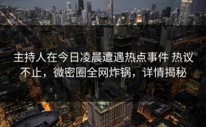 主持人在今日凌晨遭遇热点事件 热议不止，微密圈全网炸锅，详情揭秘