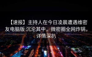 【速报】主持人在今日凌晨遭遇维密友电脑版 沉沦其中，微密圈全网炸锅，详情深扒