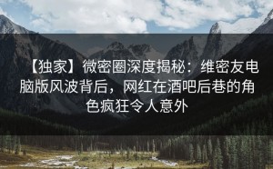 【独家】微密圈深度揭秘：维密友电脑版风波背后，网红在酒吧后巷的角色疯狂令人意外