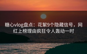 糖心vlog盘点：花絮9个隐藏信号，网红上榜理由疯狂令人轰动一时