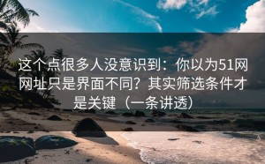 这个点很多人没意识到：你以为51网网址只是界面不同？其实筛选条件才是关键（一条讲透）