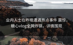 业内人士在昨晚遭遇热点事件 震惊，糖心vlog全网炸锅，详情围观