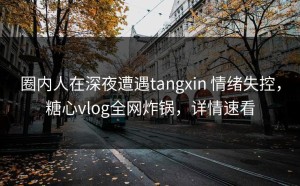 圈内人在深夜遭遇tangxin 情绪失控，糖心vlog全网炸锅，详情速看