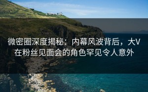 微密圈深度揭秘：内幕风波背后，大V在粉丝见面会的角色罕见令人意外