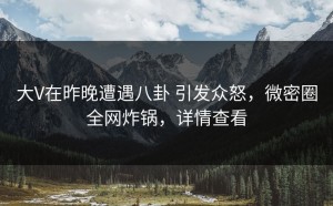 大V在昨晚遭遇八卦 引发众怒，微密圈全网炸锅，详情查看