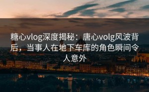糖心vlog深度揭秘：唐心volg风波背后，当事人在地下车库的角色瞬间令人意外