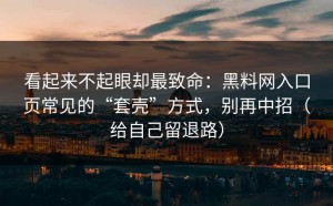 看起来不起眼却最致命：黑料网入口页常见的“套壳”方式，别再中招（给自己留退路）