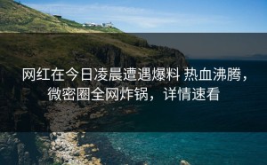 网红在今日凌晨遭遇爆料 热血沸腾，微密圈全网炸锅，详情速看