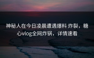 神秘人在今日凌晨遭遇爆料 炸裂，糖心vlog全网炸锅，详情速看