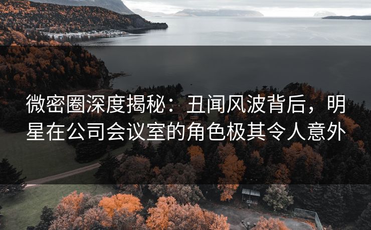 微密圈深度揭秘:丑闻风波背后,明星在公司会议室的角色极其令人意外 微密圈深度揭秘:丑闻风波背后,明星在公司会议室的角色极其令人意外
